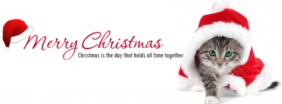 Cute Christmas Cat Facebook Covers
